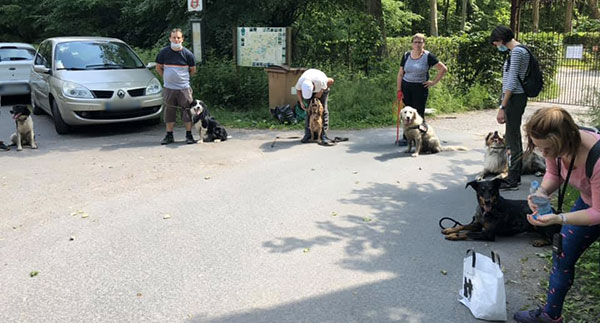 Cours collectifs canin à Saint-Amand-les-Eaux