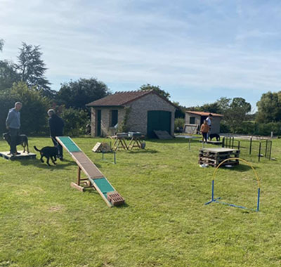 Cours collectifs canin à Saint-Amand-les-Eaux