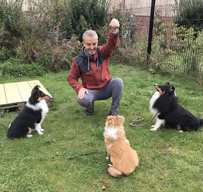 Cours collectifs canin à Saint-Amand-les-Eaux