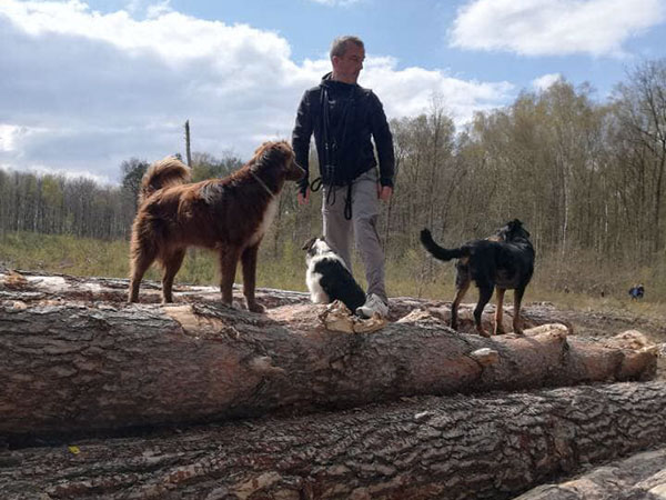 rééducation canine à Saint-Amand-les-Eaux