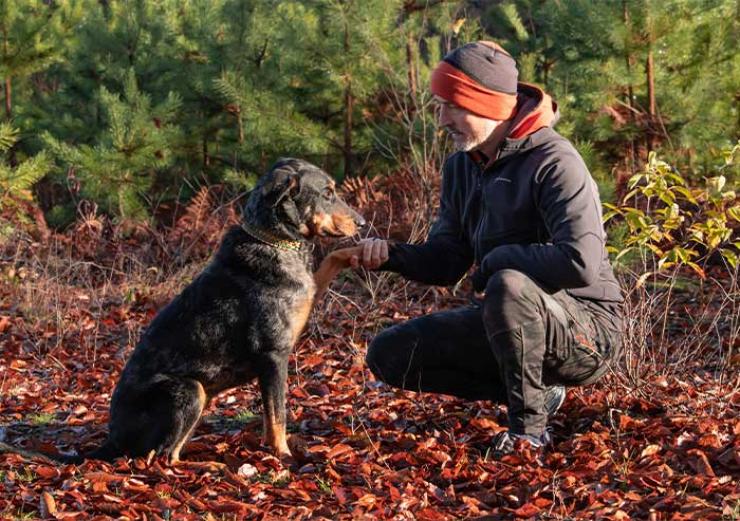 vente de produits alimentaire pour animaux sur Saint-Amand-les-Eaux