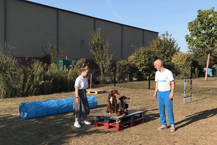 étude du comportement canin à Saint-Amand-les-Eaux